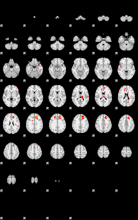 Patients 29201 5