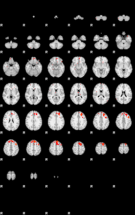 Patients 29516 30