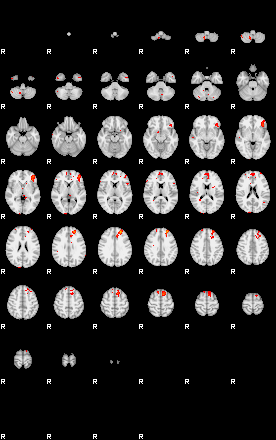 Patients 29669 36