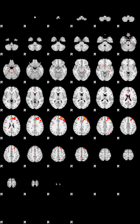 Patients 29675 39