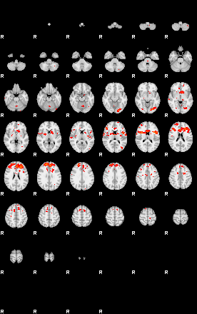 Patients 29734 47