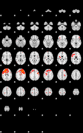 Patients 29881 24