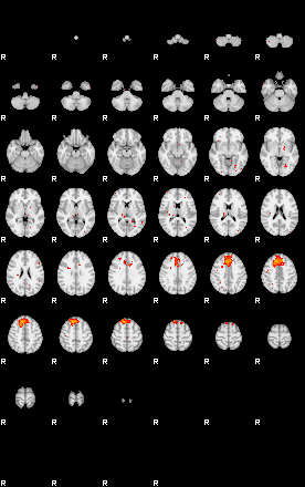 Patients 30171 53