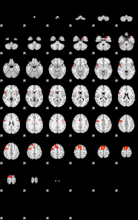 Patients 29172 171