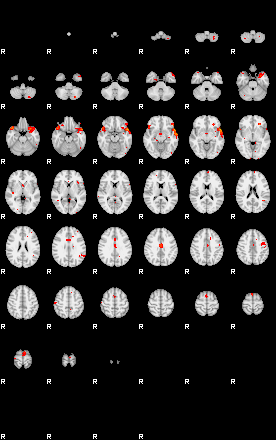 Patients 29735 1