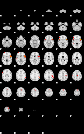 Patients 29151 167