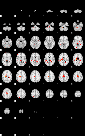 Patients 28799 49