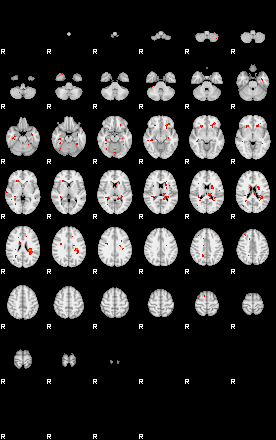 Patients 28810 79