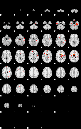 Patients 28931 51