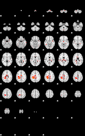 Patients 28940 172