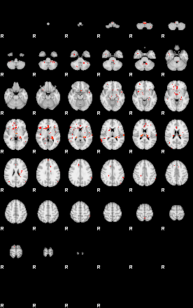 Patients 28941 56