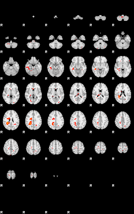 Patients 29097 22