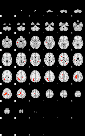 Patients 29105 142