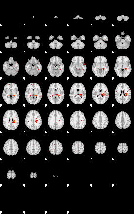 Patients 29151 42