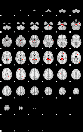 Patients 29154 17