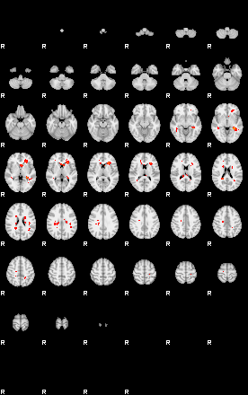 Patients 29156 162