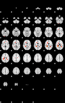 Patients 29164 36