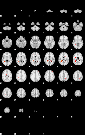 Patients 29169 142