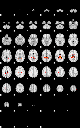 Patients 29171 79