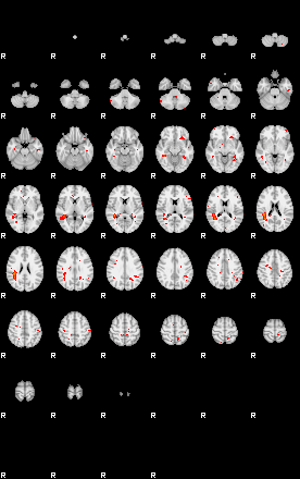 Patients 29200 54