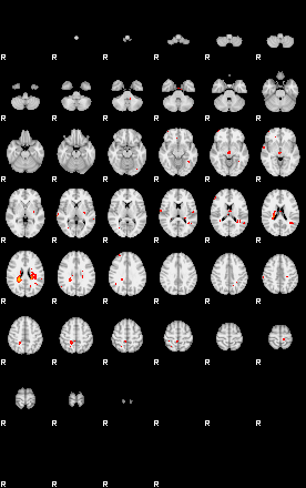 Patients 29202 182