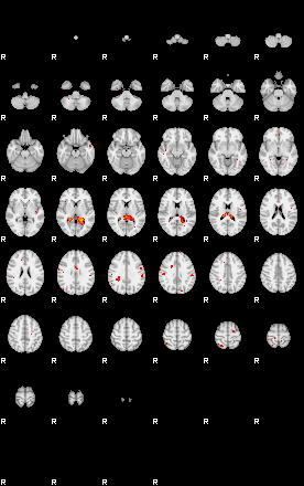 Patients 29207 15