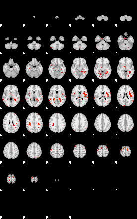 Patients 29208 41