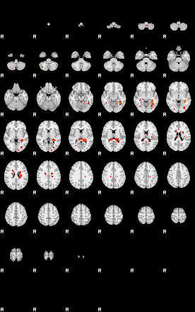 Patients 29219 24