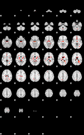 Patients 29282 43