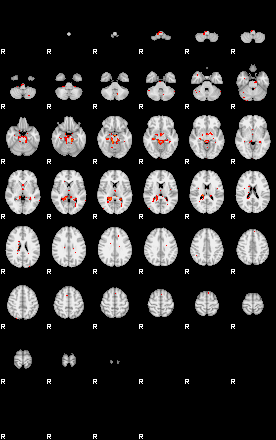 Patients 29495 40