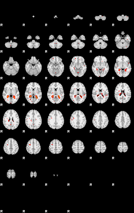 Patients 29502 81