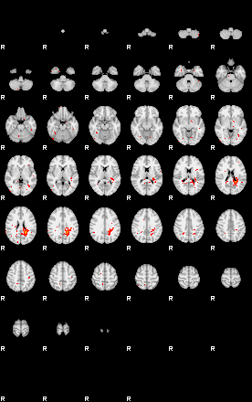 Patients 29509 150