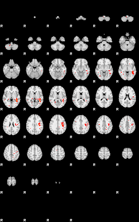 Patients 29511 69