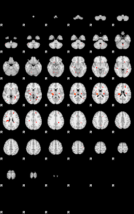 Patients 29516 68