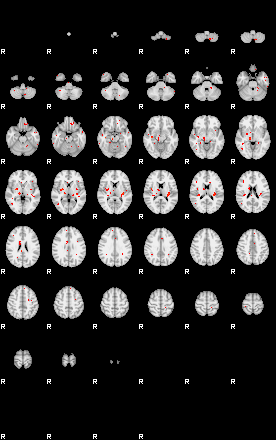 Patients 29516 77