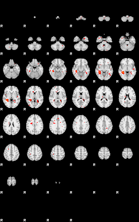 Patients 29522 22