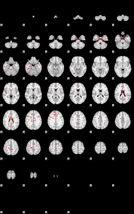 Patients 29541 147