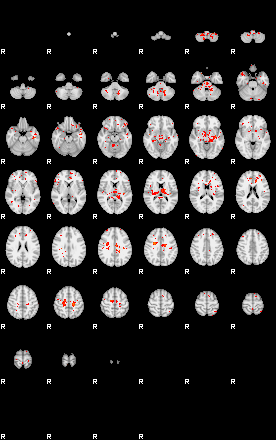 Patients 29544 82