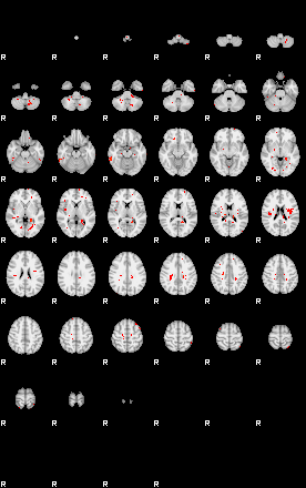 Patients 29559 50