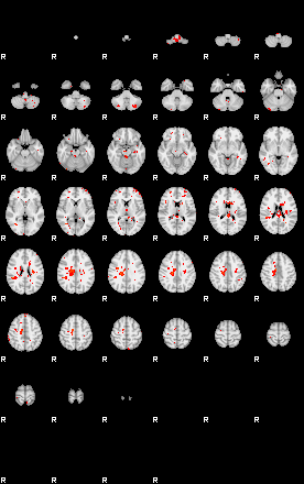 Patients 29584 52