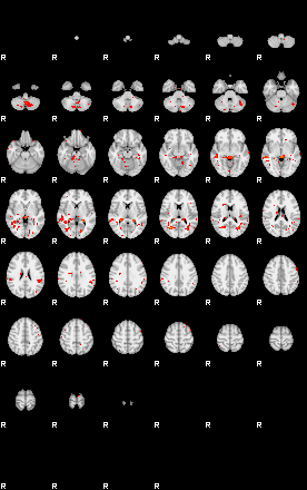 Patients 29591 142