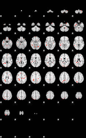 Patients 29606 46