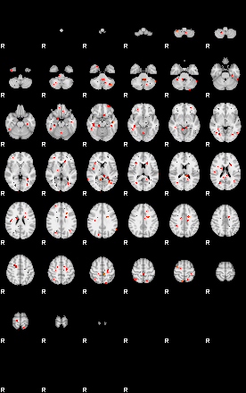 Patients 29606 6