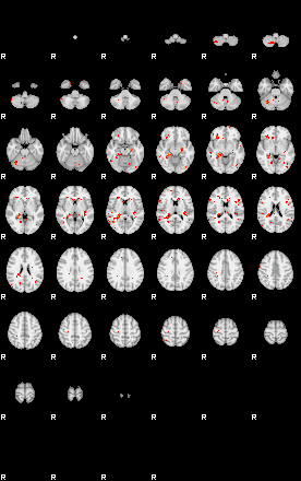 Patients 29628 100