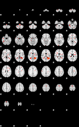 Patients 29660 95