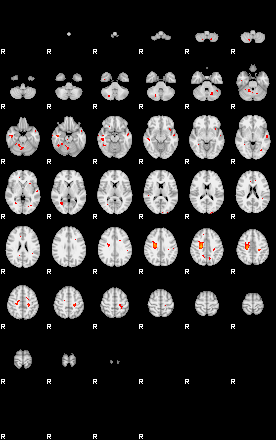 Patients 29662 74