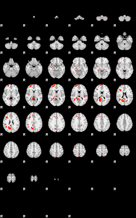 Patients 29664 24