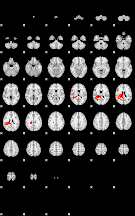 Patients 29667 50