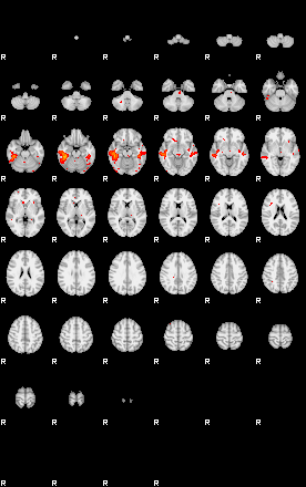 Patients 29671 132