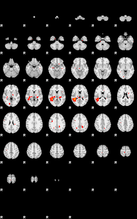 Patients 29679 44